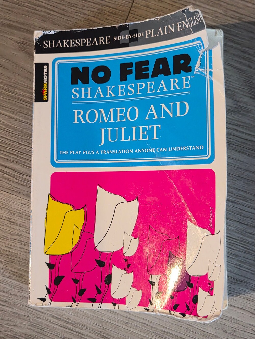 No Fear Shakespeare Romeo and Juliet Paperback - Blue & Pink Cover